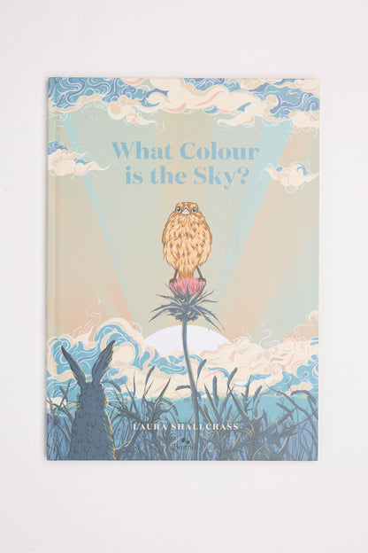 What Colour is the Sky Book