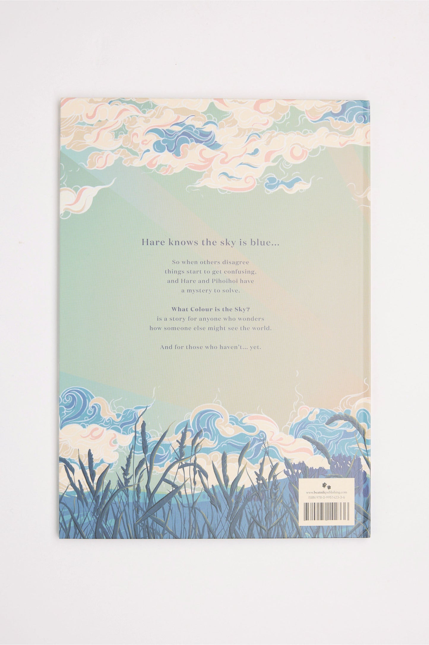 What Colour is the Sky Book