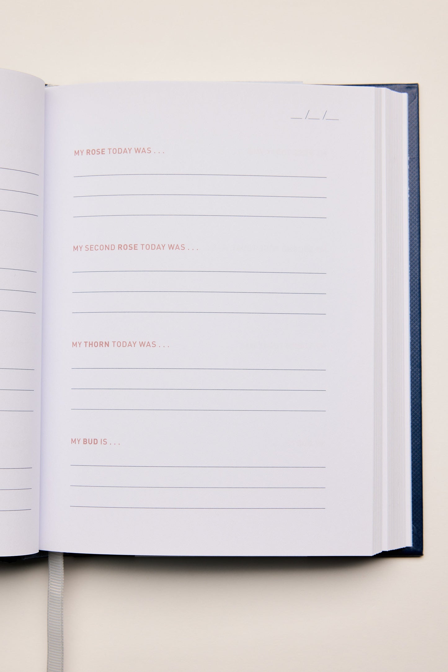 Two Minute Evenings Book