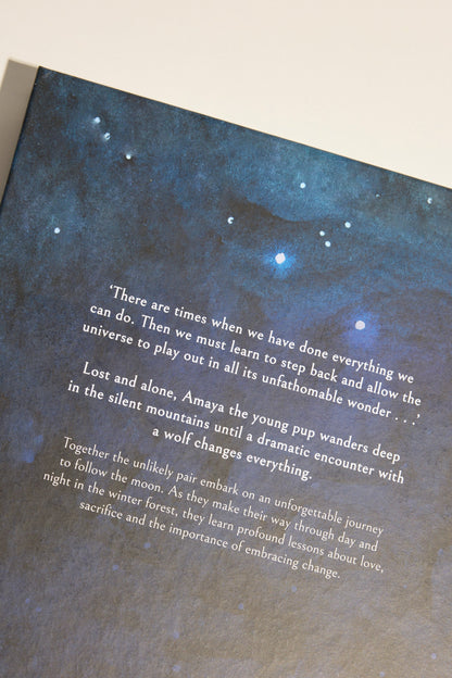 Following The Moon Book