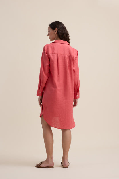 Elementary Shirt Dress
