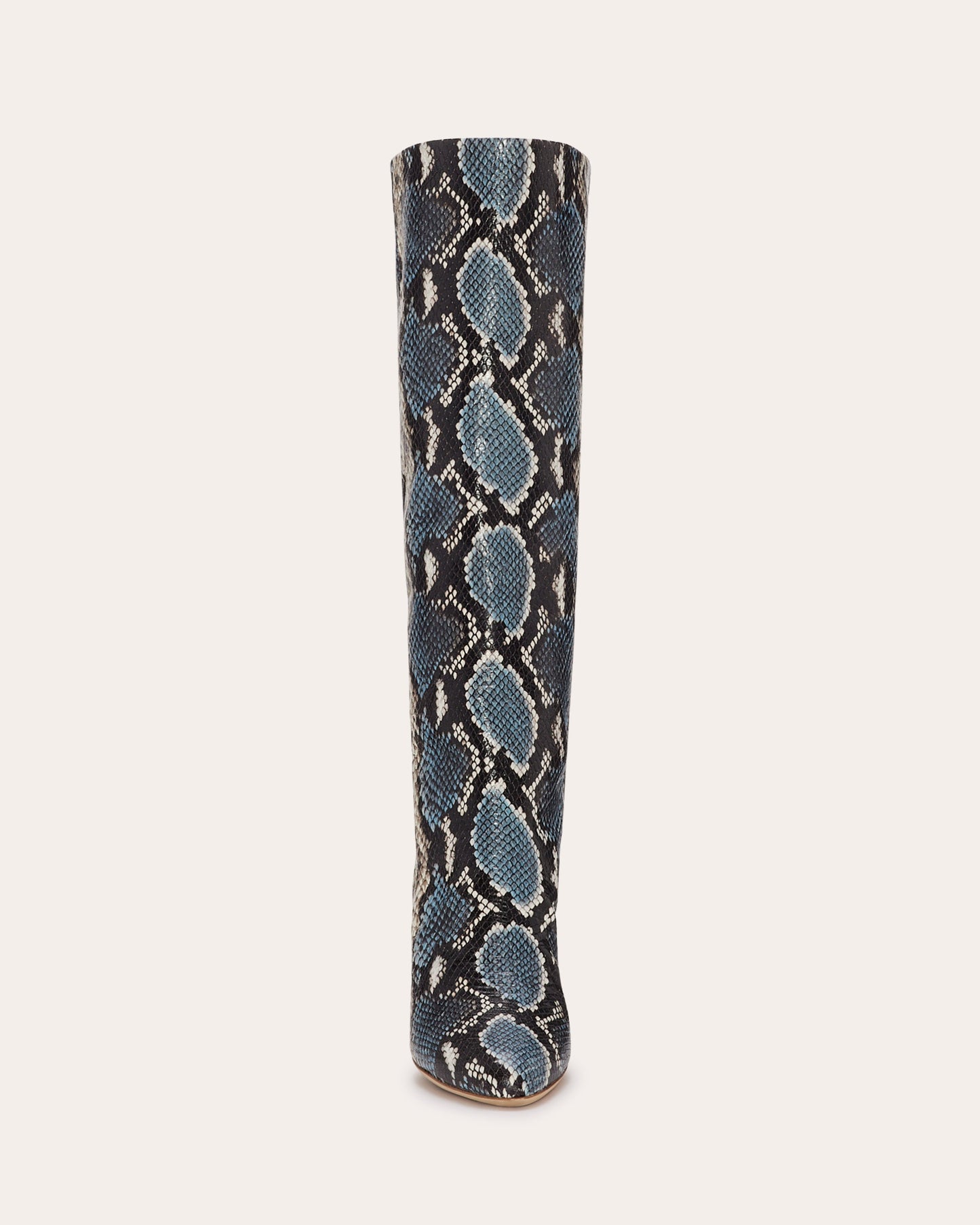 Queen Heeled Snake Boots | BLUE SNAKE