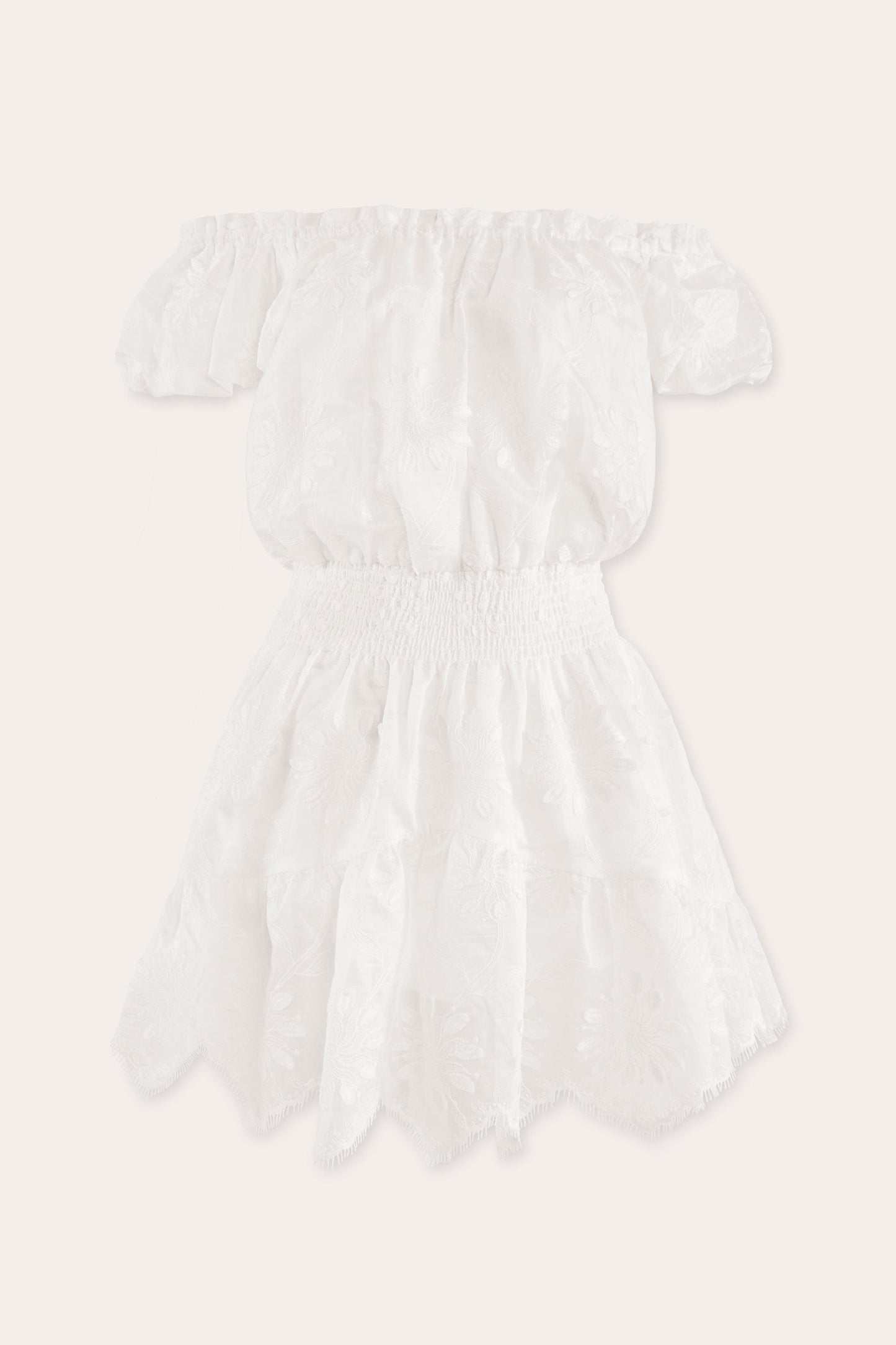 Verona Embroidered Organza Mini Dress